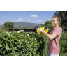 Аккумуляторный кусторез KARCHER HGE 18-50 BATTERY