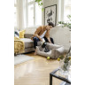 Пылесос KARCHER VC 4 CORDLESS MYHOME PET