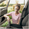 Пылесос KARCHER WD 3 V-19/4/20
