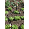Редуктор давления с фильтром KARCHER