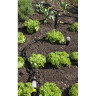 Шланг KARCHER RAIN SYSTEM 1/2 для капельного полива